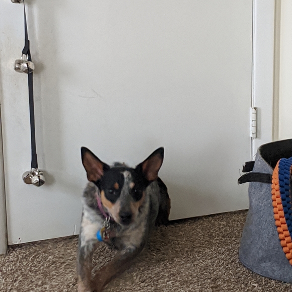 Reasonable offers always welcome 😄 - Picture 3 of 6